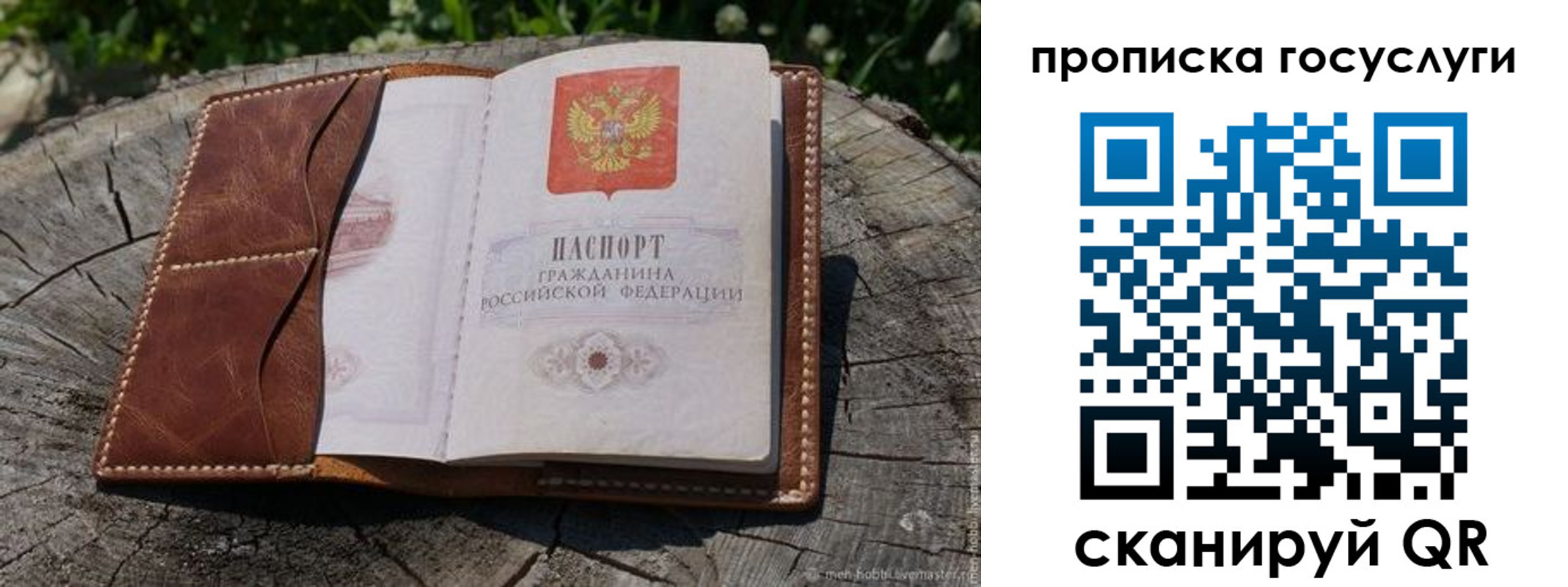 прописка для школы в Спасске-Дальнем